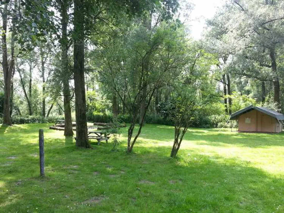 biesbosch-glamping-dordrecht-ubnat
