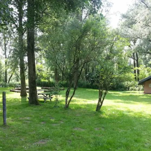 biesbosch-glamping-dordrecht-ubnat