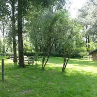 biesbosch-glamping-dordrecht-ubnat