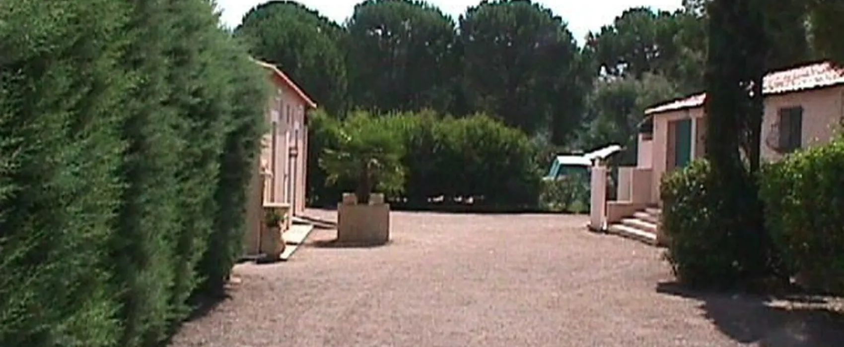 De Vaudois