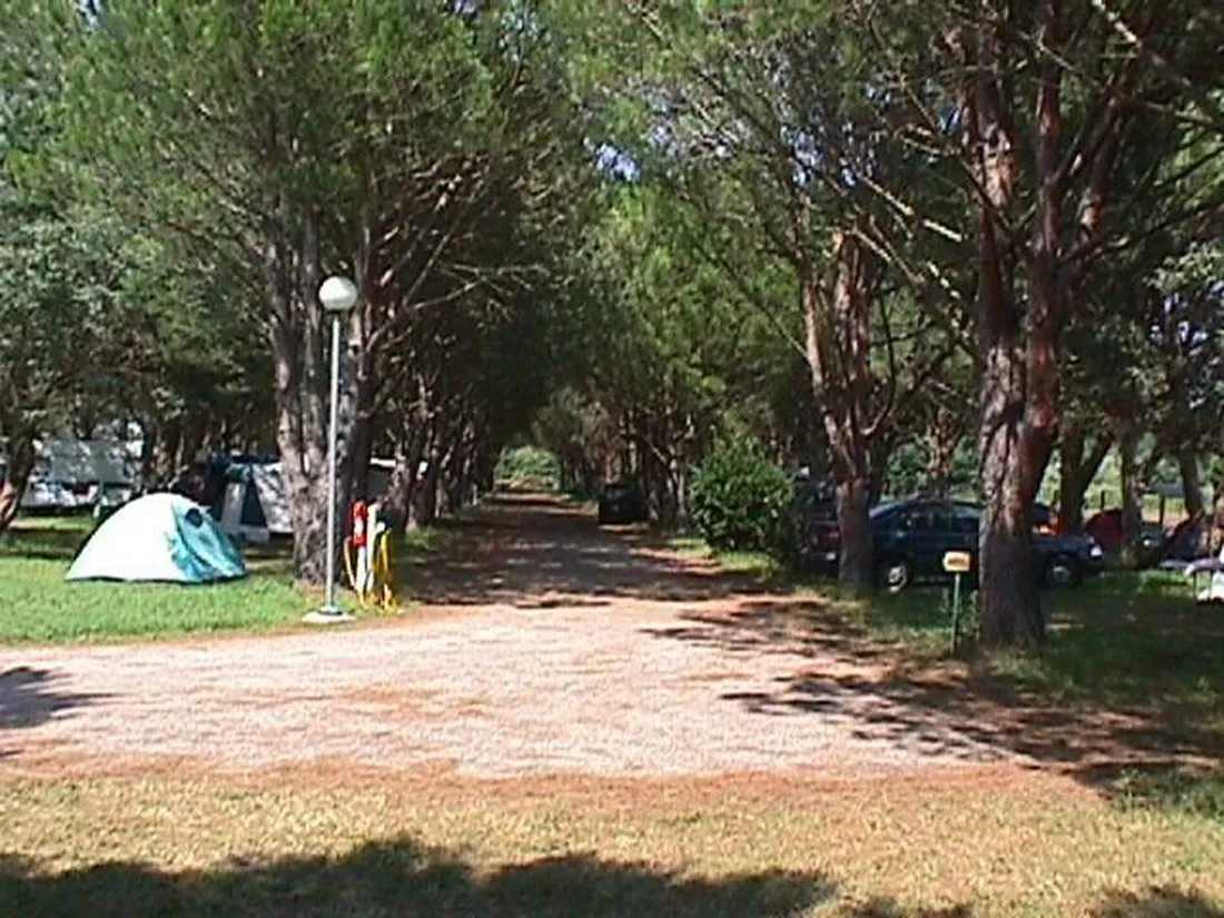 de-vaudois-roquebrune-sur-argens-bfnb6