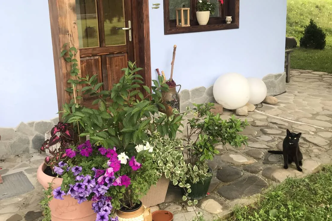 camping-la-gradina-comanesti-ccc54