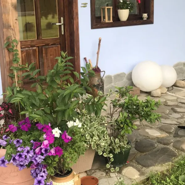 camping-la-gradina-comanesti-ccc54