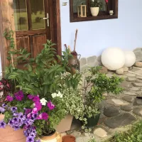 camping-la-gradina-comanesti-ccc54