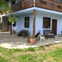 camping-la-gradina-comanesti-ceevq