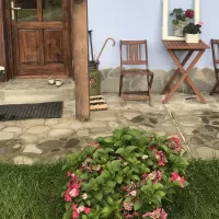 camping-la-gradina-comanesti-hsi3v