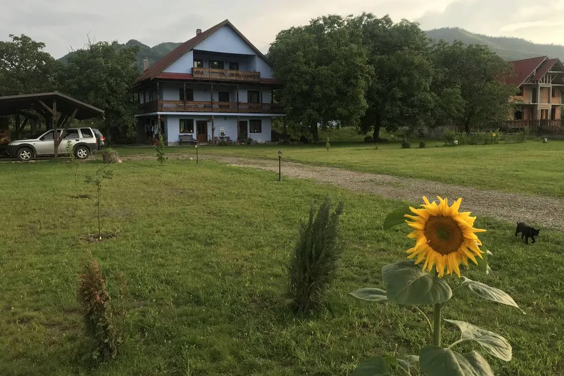 camping-la-gradina-comanesti-n1han