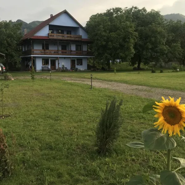 camping-la-gradina-comanesti-n1han