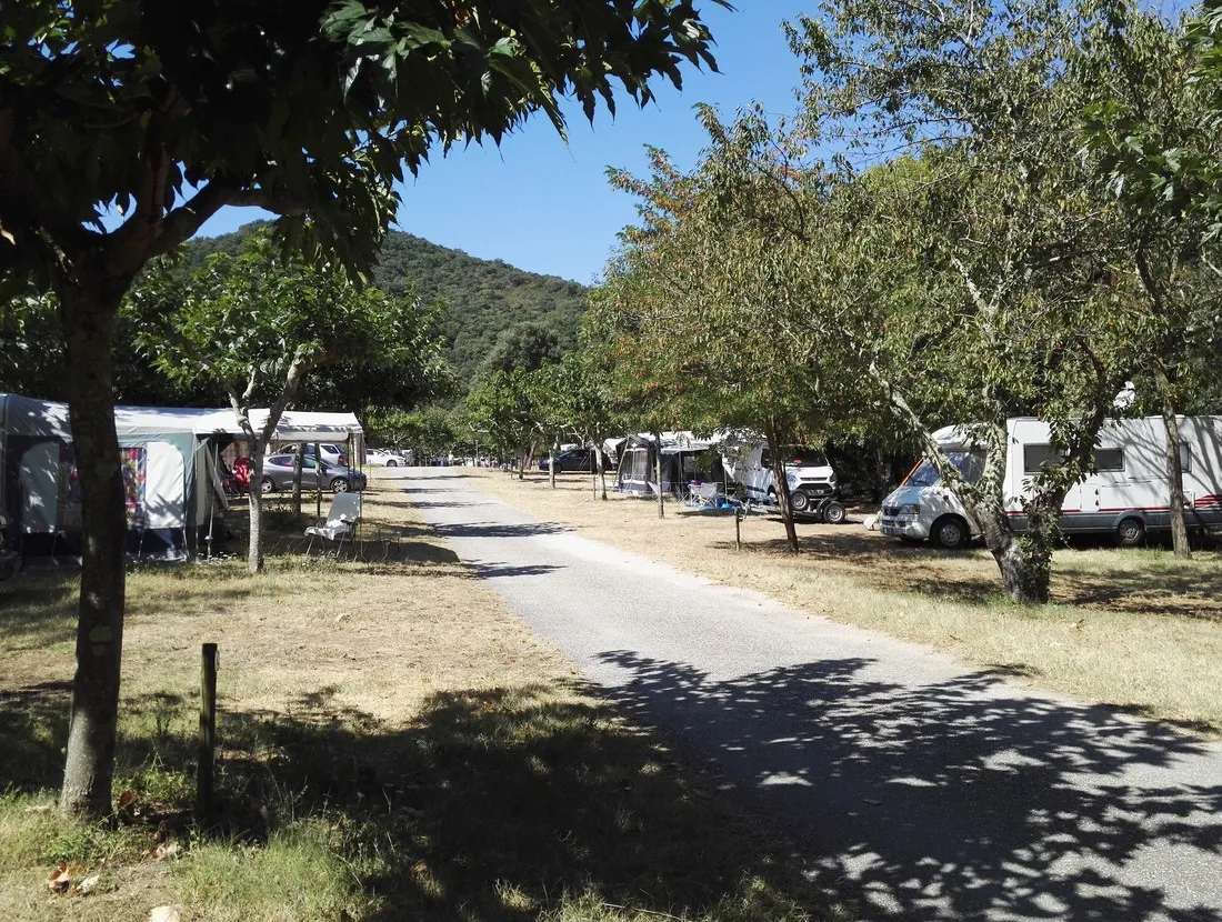 domaine-la-clapegravere-maureillas-las-illas-swedl