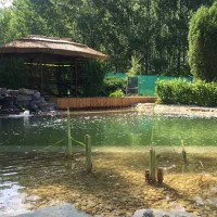 oko-kemping-glamping-tiszadada-tiszadada-t4fg9