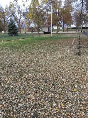 riverside-park-campground-neligh-0rwna