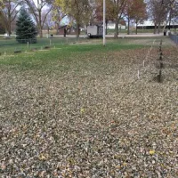 riverside-park-campground-neligh-kk7ny