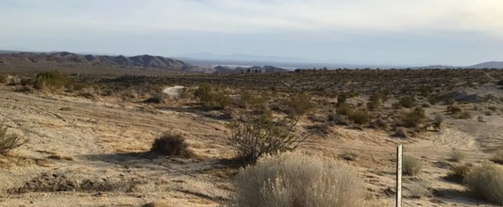 Dove Springs OHV Area