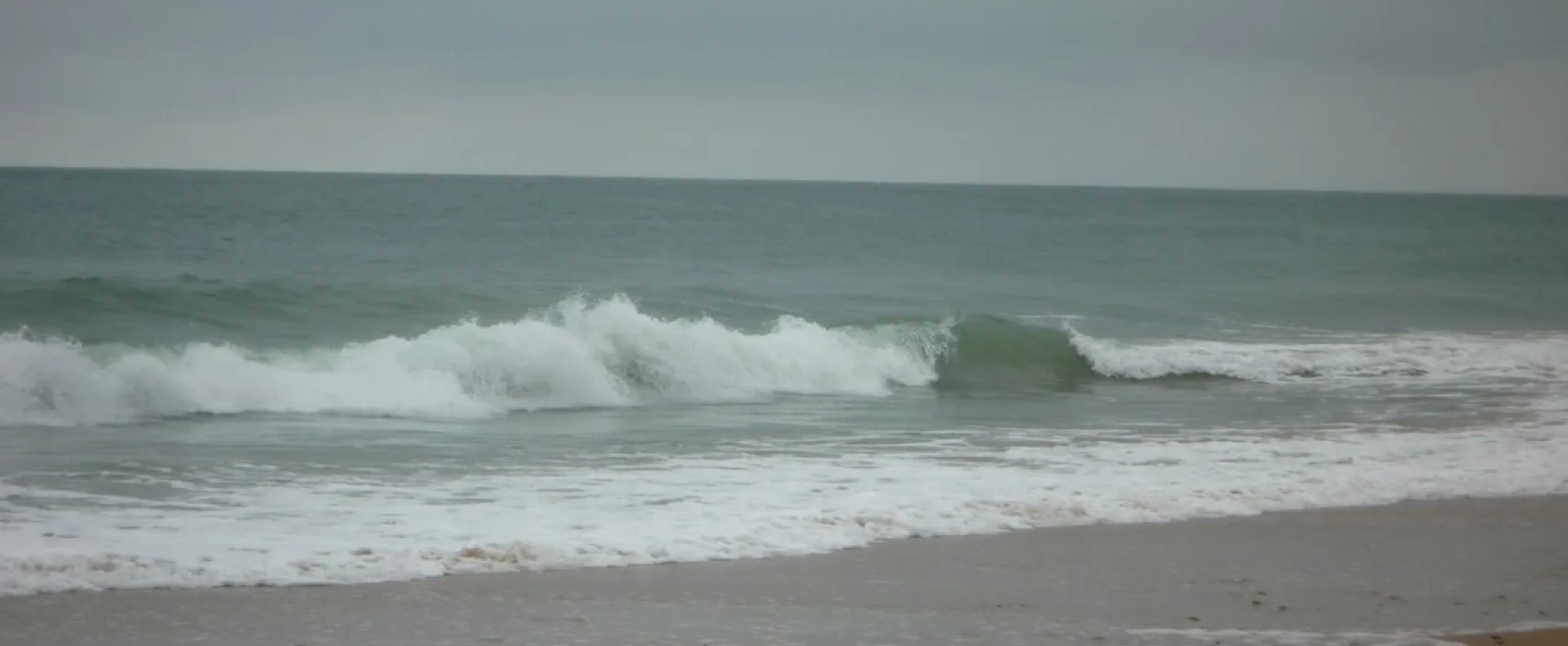 L'Ocean