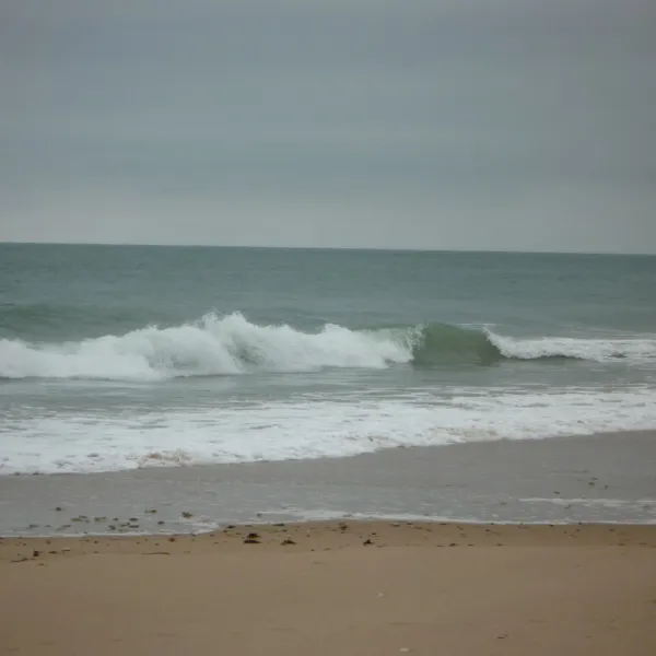 locean-st-georges-doleron-ile-doleron-8m0xk