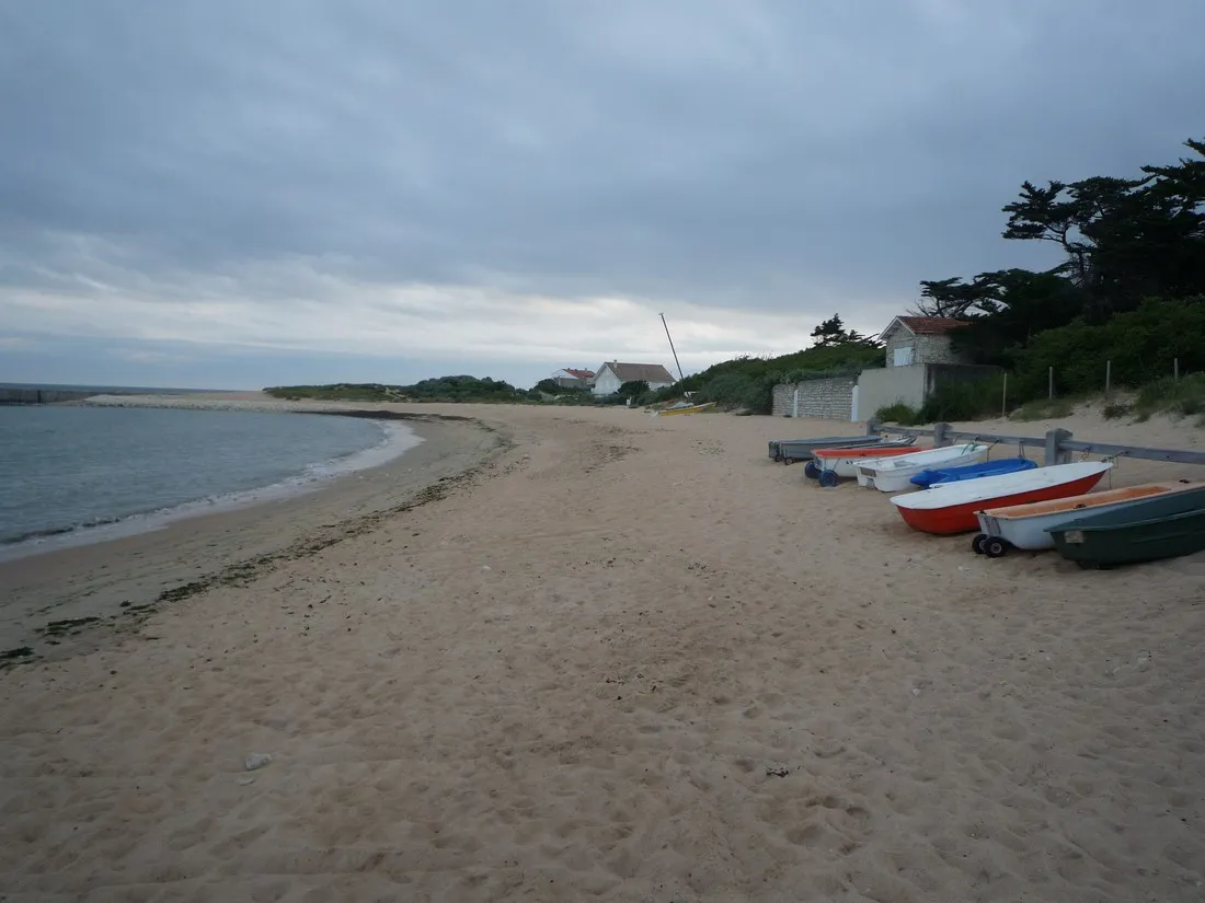 locean-st-georges-doleron-ile-doleron-fguit