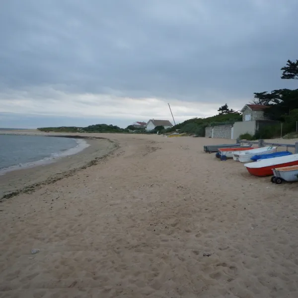 locean-st-georges-doleron-ile-doleron-fguit