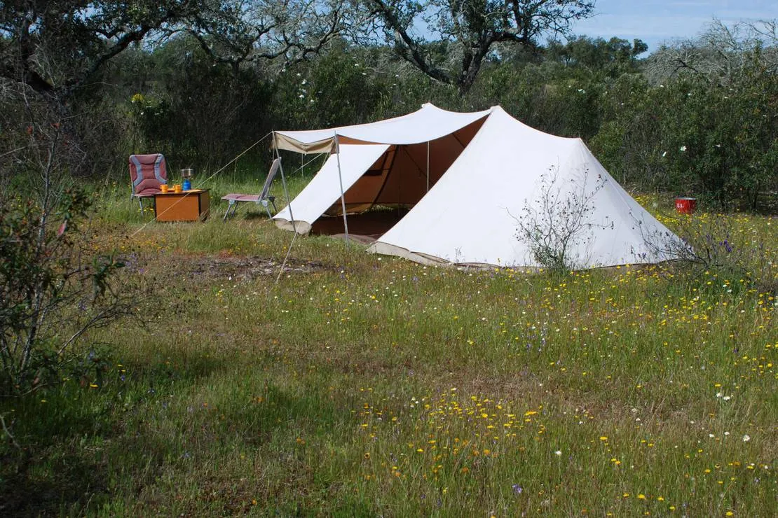 bubulcus-bolotas-camping-vimieiro-18krl