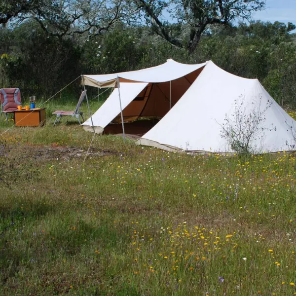 bubulcus-bolotas-camping-vimieiro-18krl