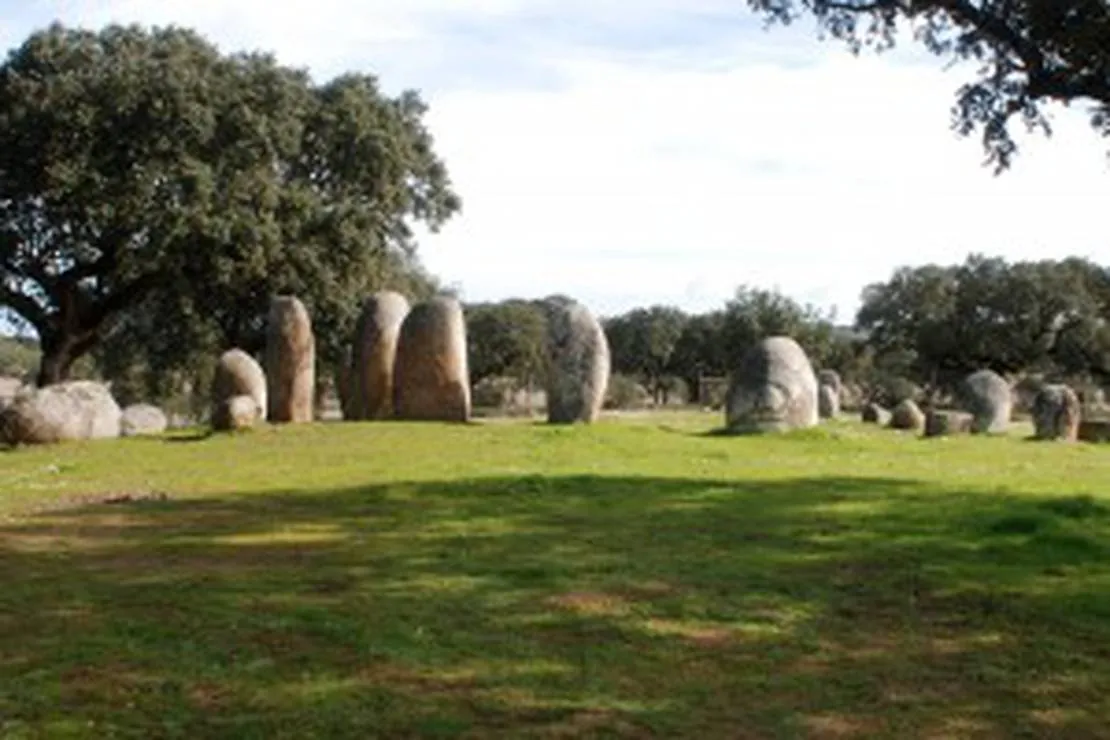 bubulcus-bolotas-camping-vimieiro-9qym0