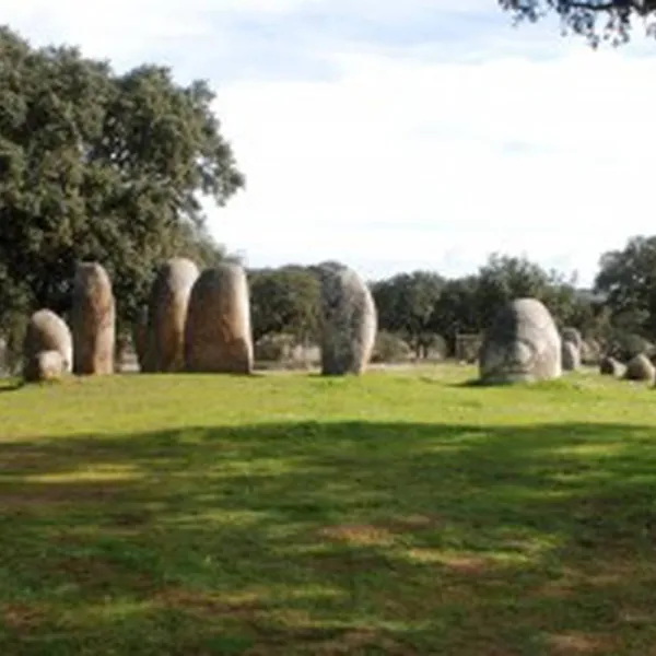 bubulcus-bolotas-camping-vimieiro-9qym0