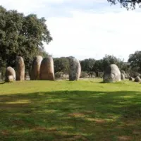 bubulcus-bolotas-camping-vimieiro-9qym0
