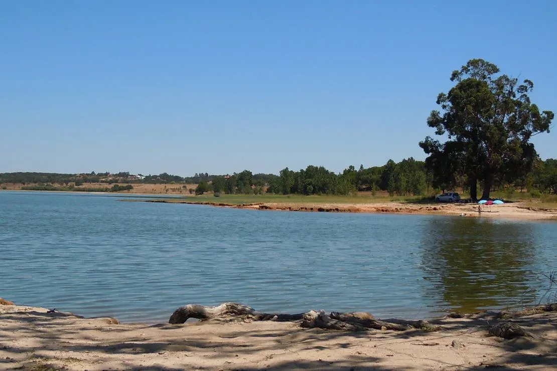 bubulcus-bolotas-camping-vimieiro-a8gam