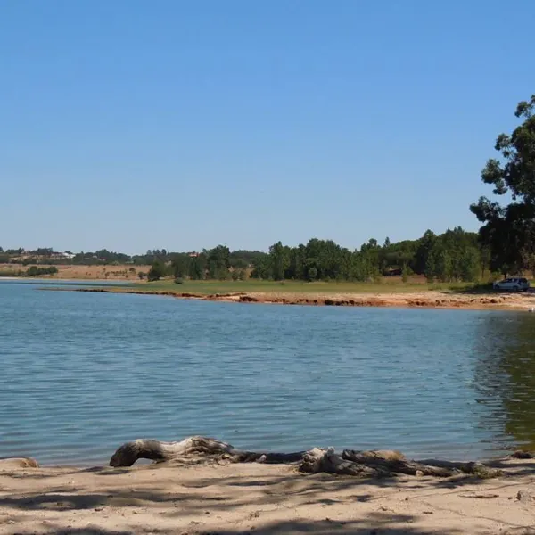 bubulcus-bolotas-camping-vimieiro-a8gam