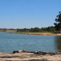 bubulcus-bolotas-camping-vimieiro-a8gam