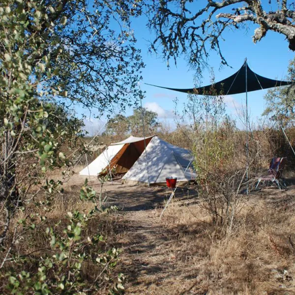 Bubulcus & Bolotas Camping