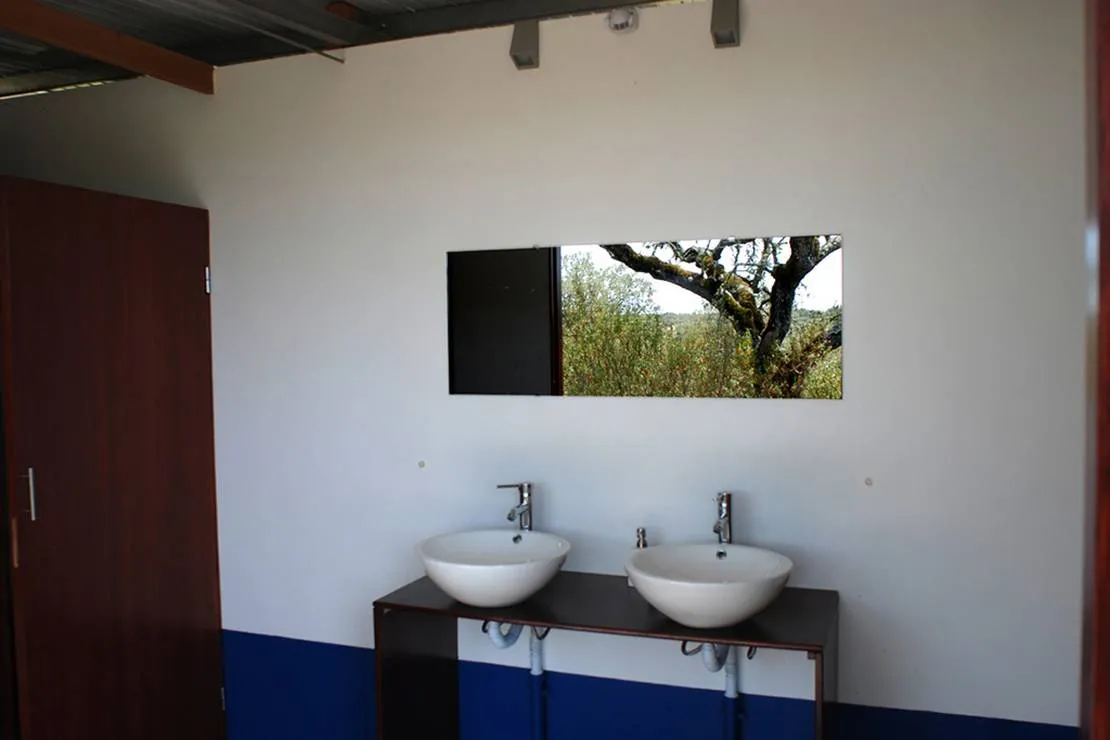 bubulcus-bolotas-camping-vimieiro-giusp