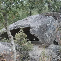 bubulcus-bolotas-camping-vimieiro-mjalw