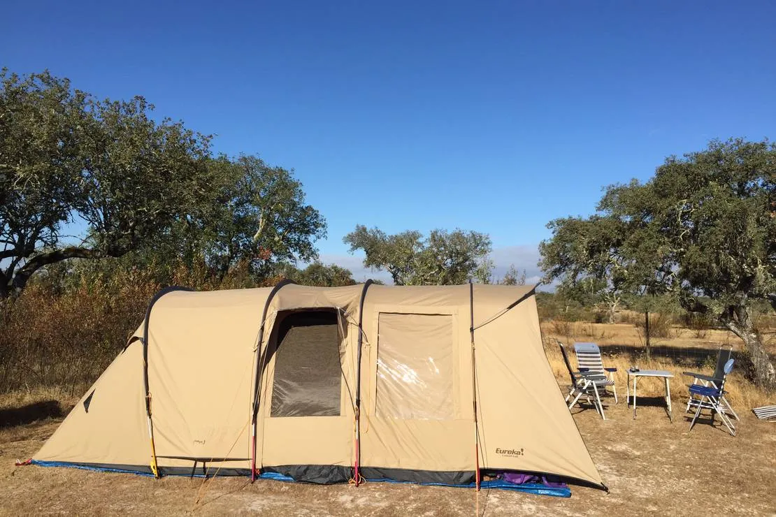 bubulcus-bolotas-camping-vimieiro-s0ht8