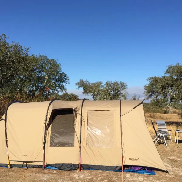 bubulcus-bolotas-camping-vimieiro-s0ht8