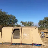 bubulcus-bolotas-camping-vimieiro-s0ht8
