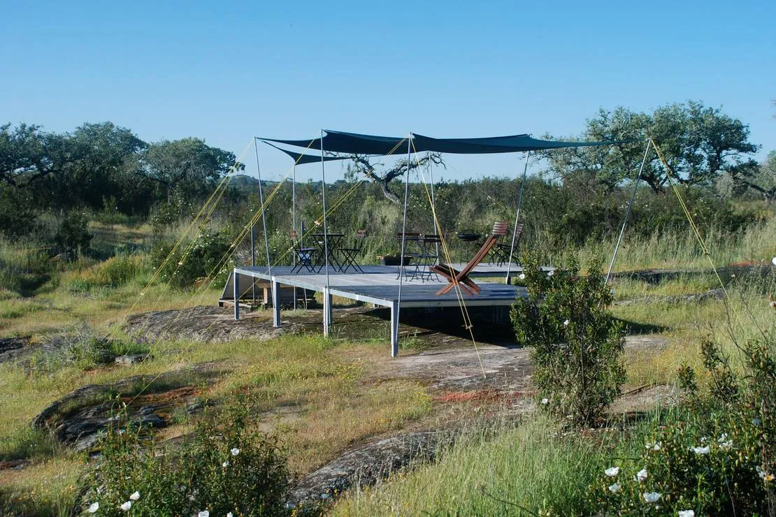 bubulcus-bolotas-camping-vimieiro-x6fpt
