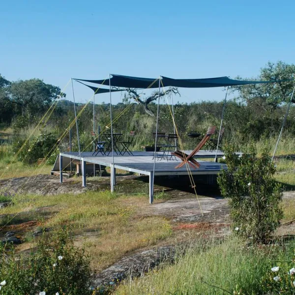 bubulcus-bolotas-camping-vimieiro-x6fpt