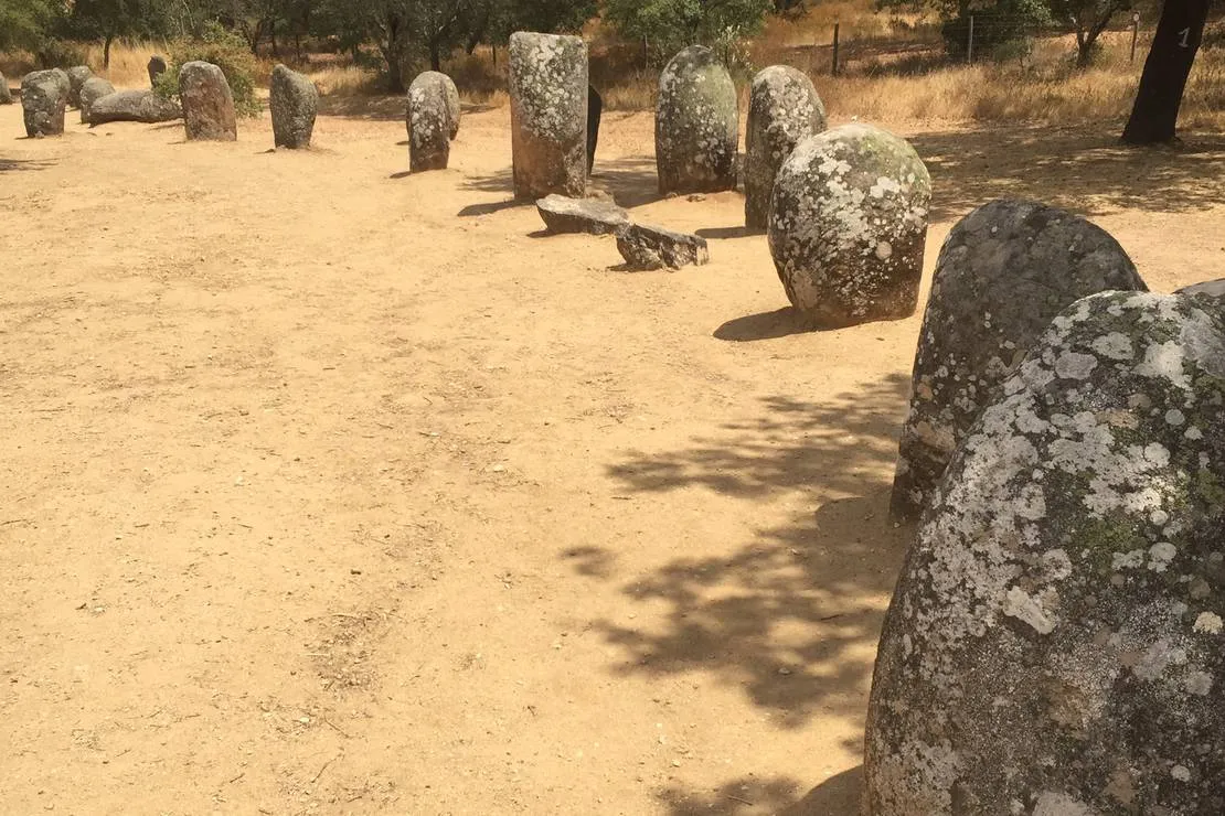 bubulcus-bolotas-camping-vimieiro-zecjw