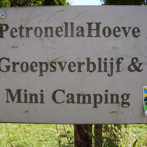 minicamping-groepsaccommodatie-petronella-hoeve-bergeijk-8yxff