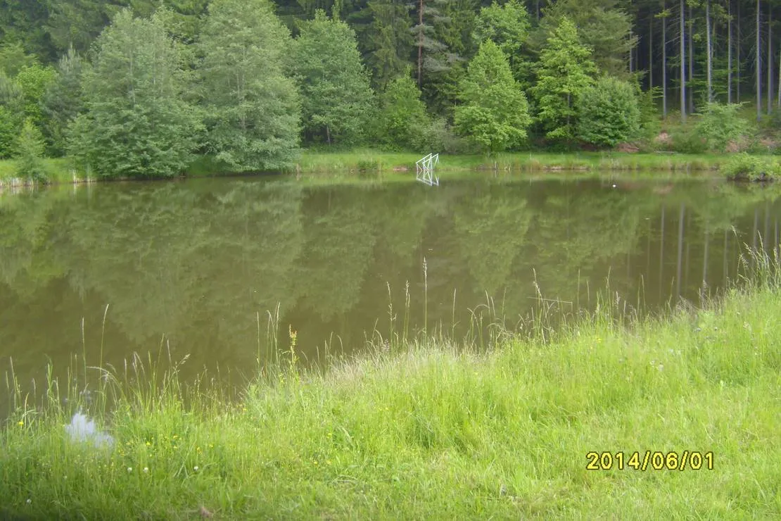 waldcamping-huttenhof-rosenberg-bqd8u