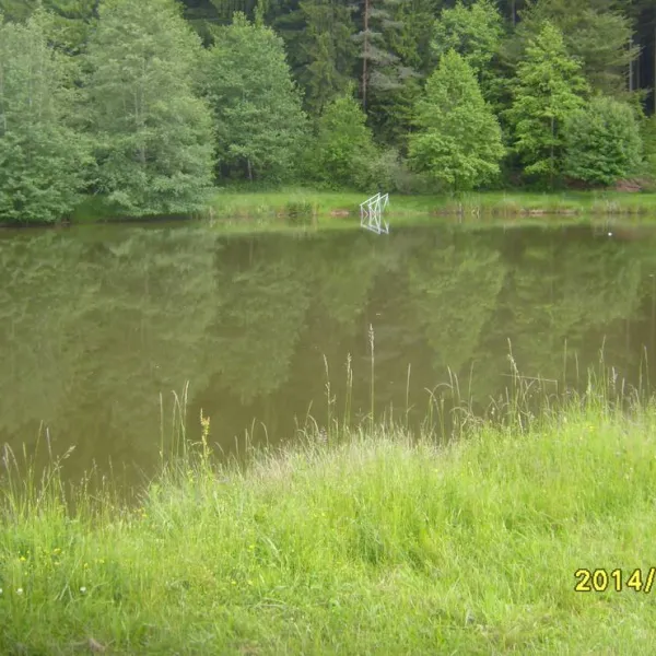 waldcamping-huttenhof-rosenberg-bqd8u