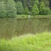 waldcamping-huttenhof-rosenberg-bqd8u