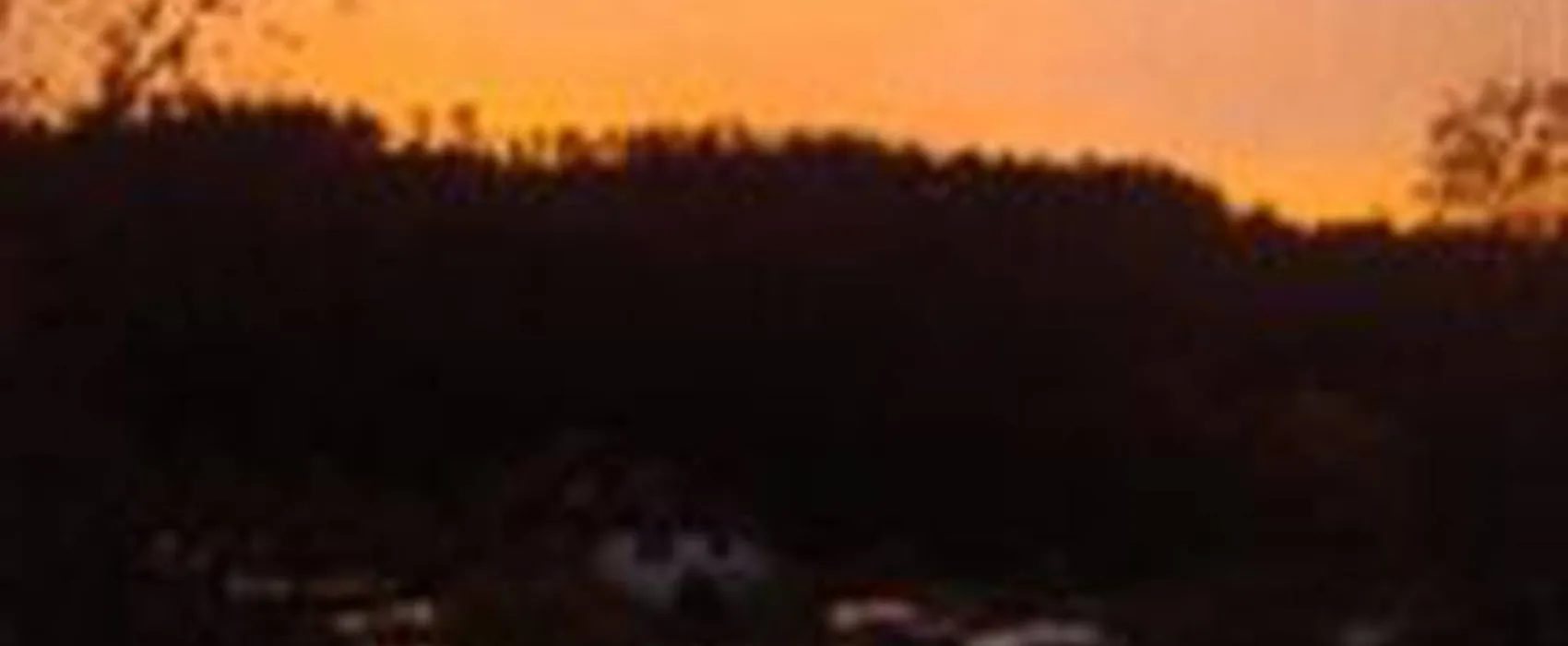 Waldcamping Hüttenhof