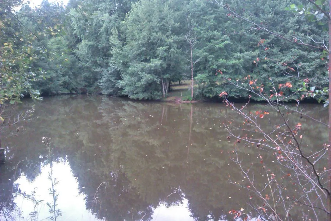 waldcamping-huttenhof-rosenberg-vwrq9