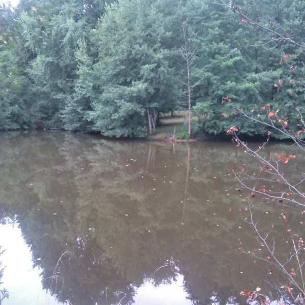 waldcamping-huttenhof-rosenberg-vwrq9