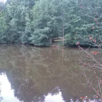 waldcamping-huttenhof-rosenberg-vwrq9