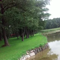SIEDLISKO ROŻYŃSK