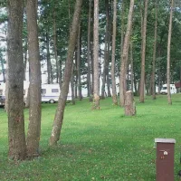 siedlisko-rozynsk-orzysz-wcrr5
