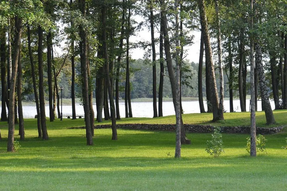 siedlisko-rozynsk-orzysz-wyjbr