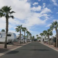palm-creek-golf-rv-resort-casa-grande-smcel